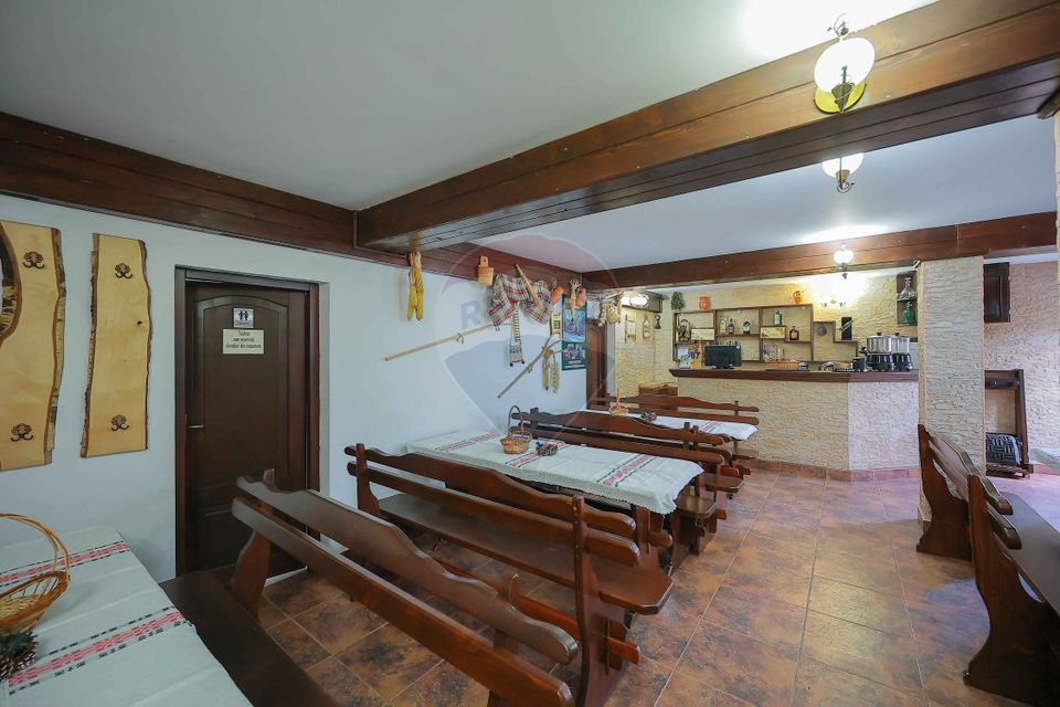 10 room Hotel / Pension for sale, Nord-Vest area