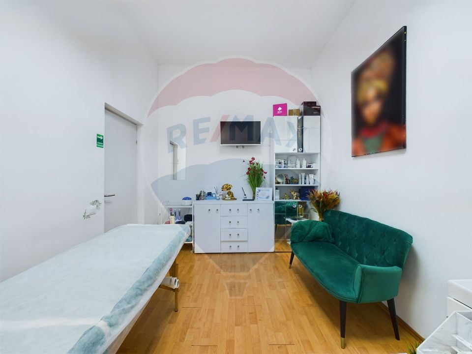 13 room House / Villa for sale, P-ta Victoriei area