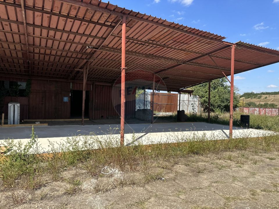 Spațiu industrial hale depozitare si productie