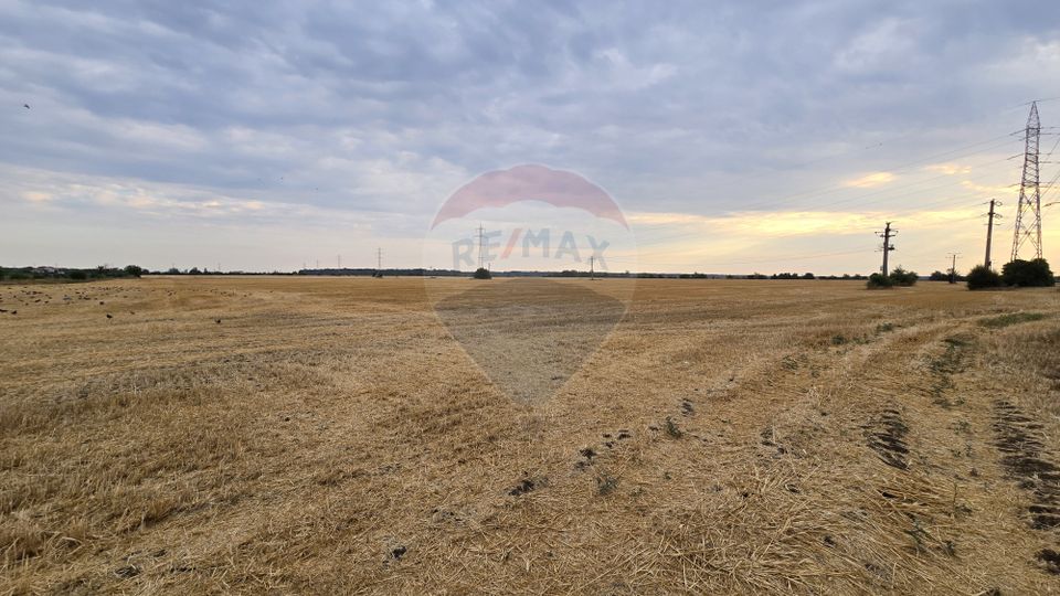 Teren intravilan Buftea, soseaua Tamasi