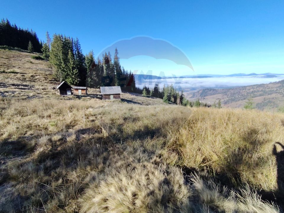 Teren 31,461mp Panaci / Prelungirea Ialovita