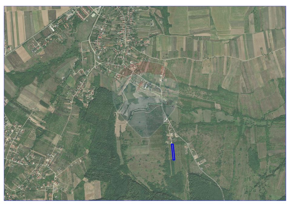 Land 3,762sqm Paleu / Strada Lacului