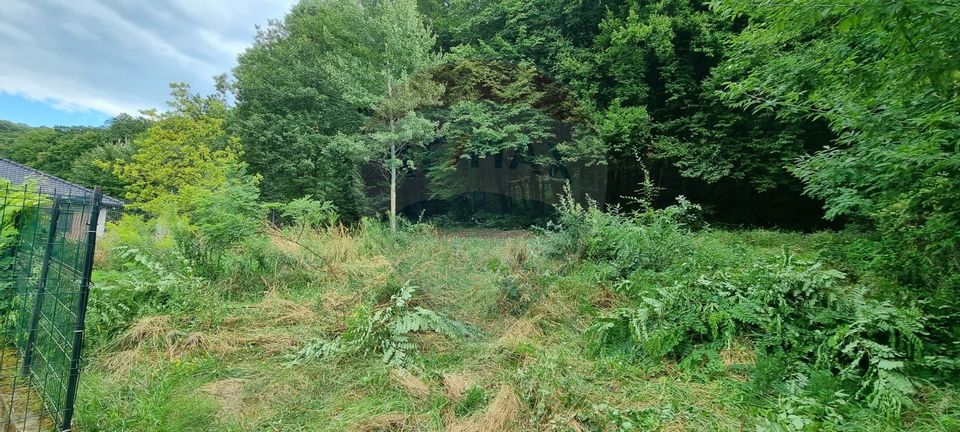 Teren de vânzare – 584 mp, Angarul de Jos, la liziera pădurii