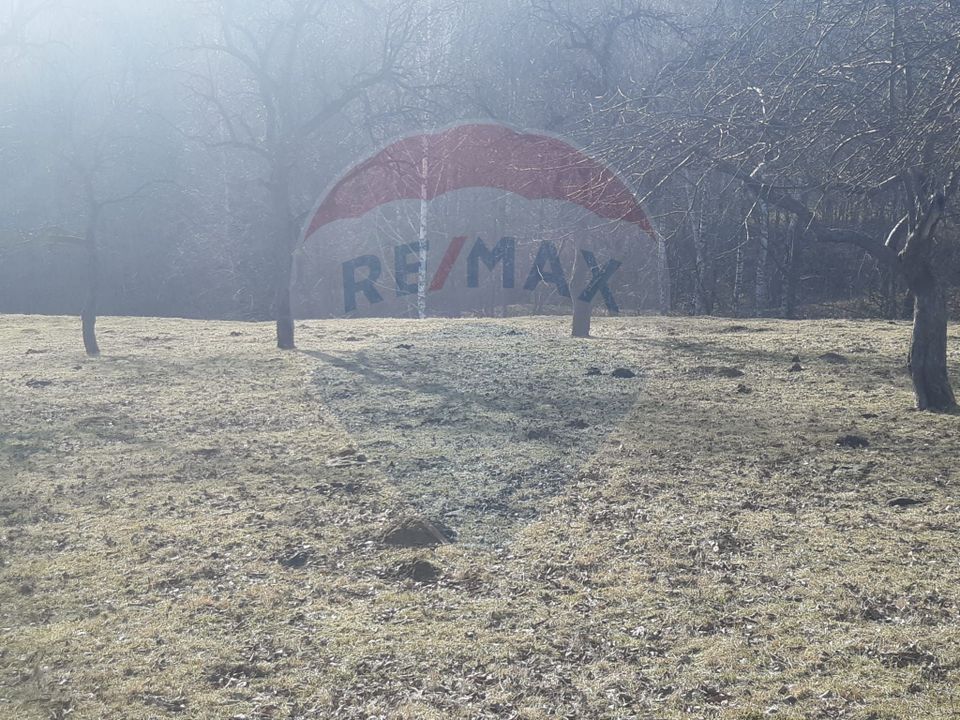 Land 10,279sqm Predelut / Strada Pe Tarina