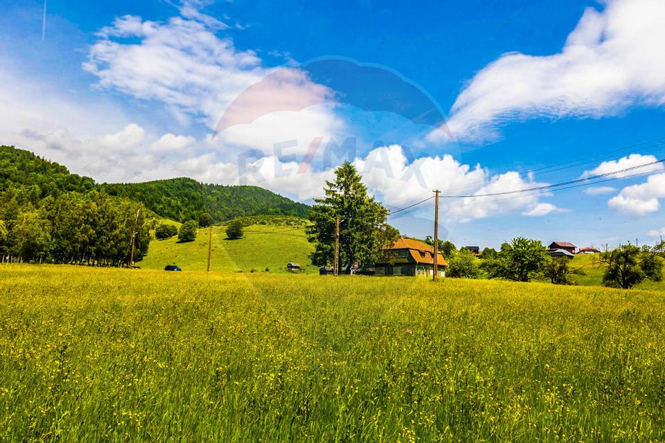 Teren drept intravilan de vanzare, 5.731mp, Sirnea, BRASOV