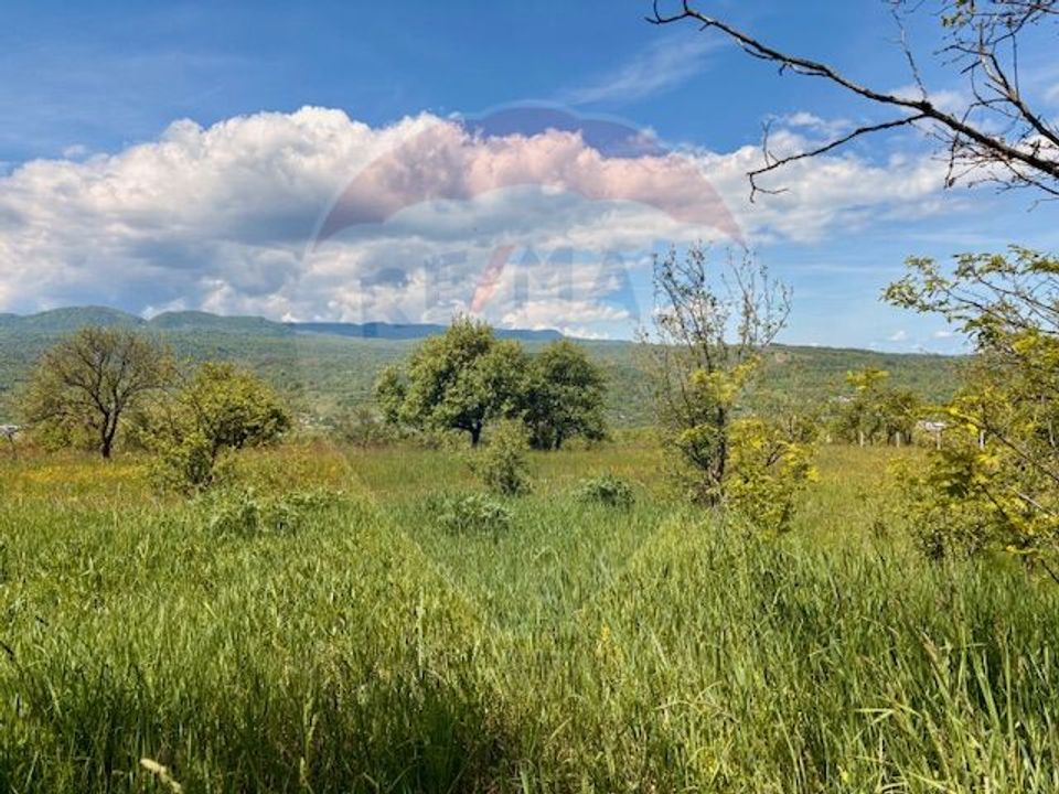 Teren 5,565mp Giulesti / Strada PRINCIPALA