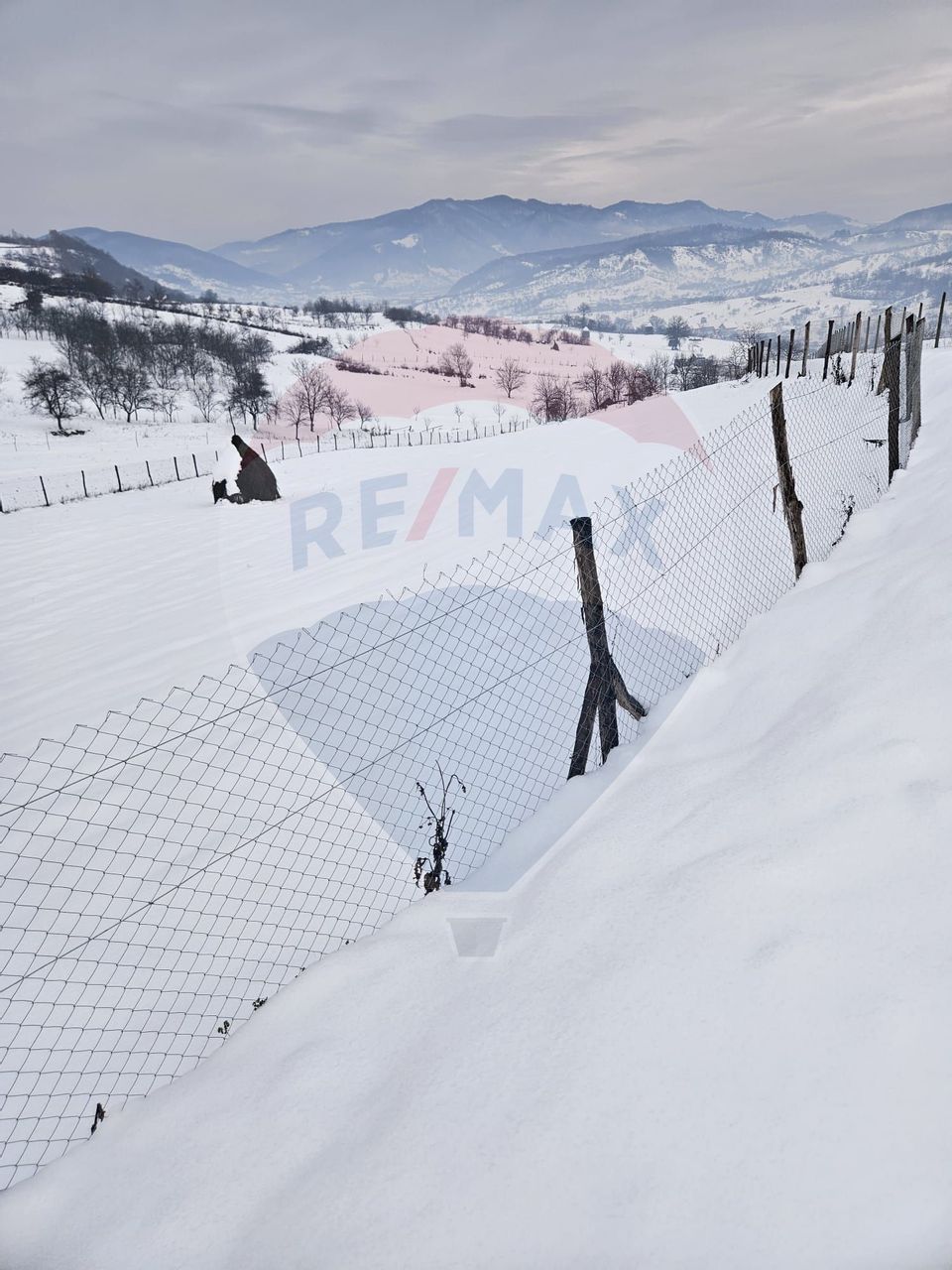 Teren 4,301mp Barsana / Strada Principala