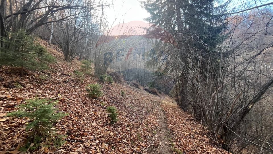 Hillside Panorama Estate – 17,684 sqm in Schei, Brașov