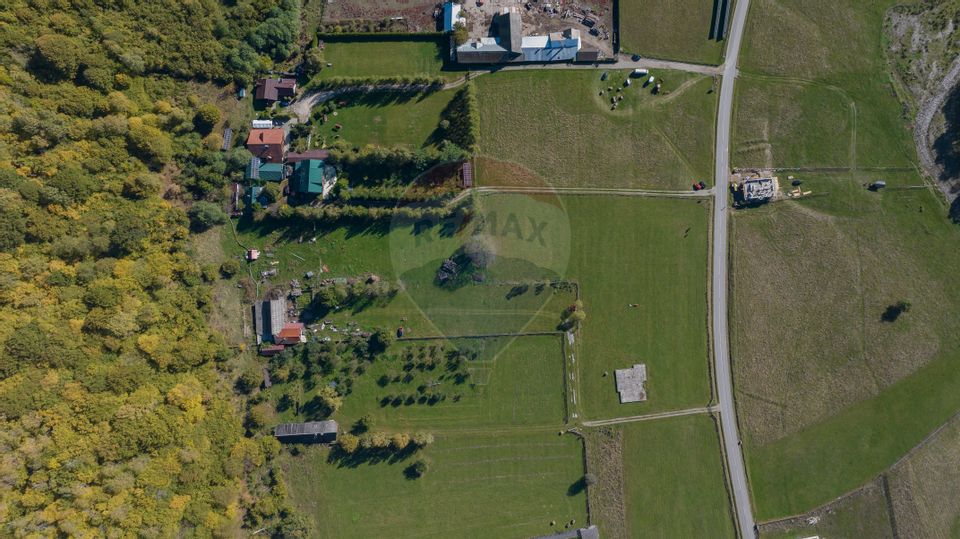 Teren 3.997 mp, priveliște superbă Plaiul Foii, 0% comision