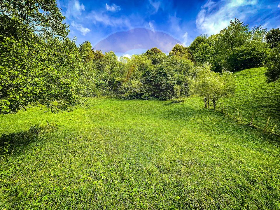 Land 6,135sqm Moieciu de Jos / Strada Principala