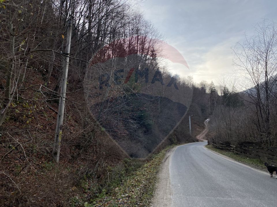 Land 1,000sqm Valea Ierii / Drumul Principala