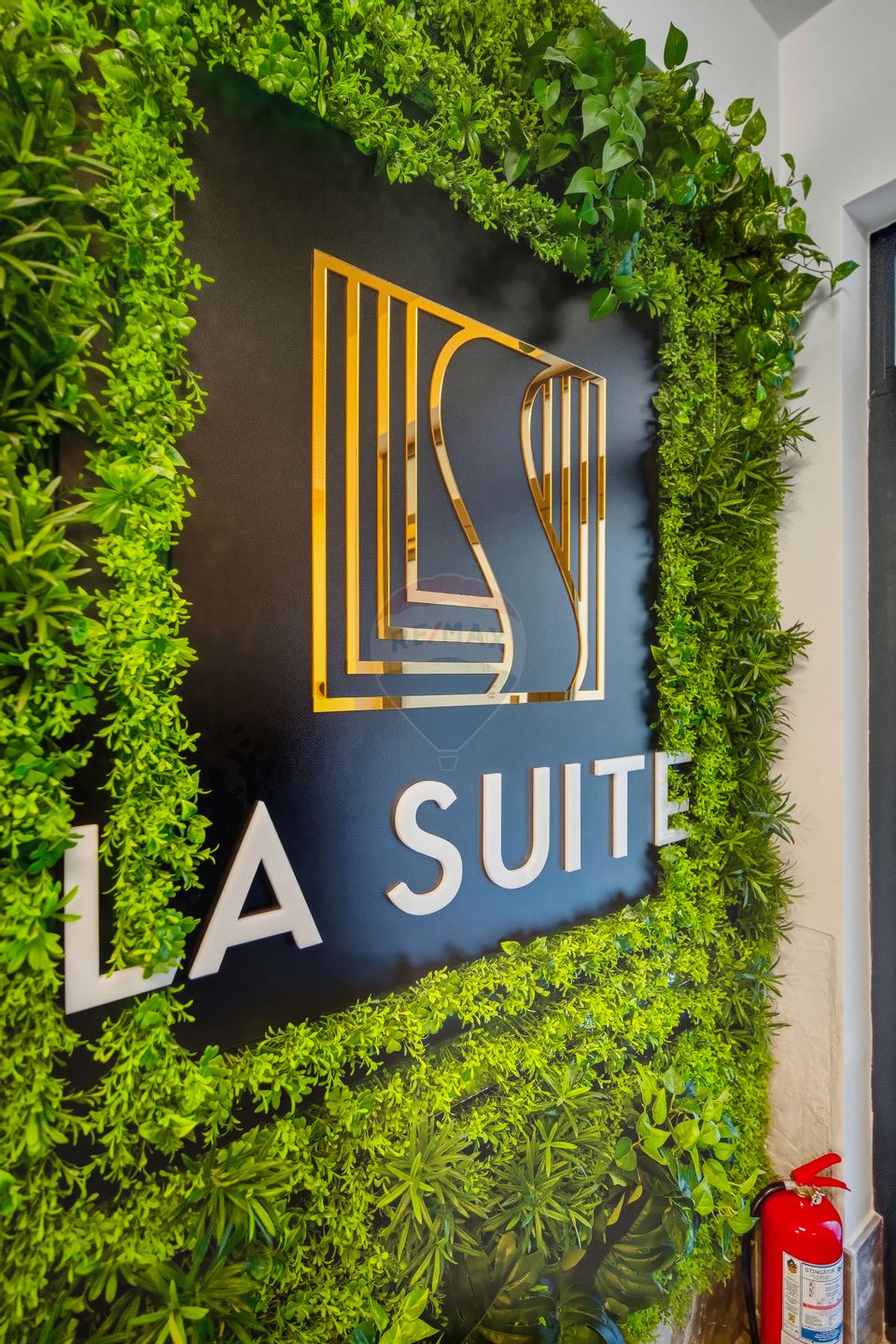 O ALEGERE INTELIGENTA INTRE BUSINESS SI RELAXARE | ZONA COPOU