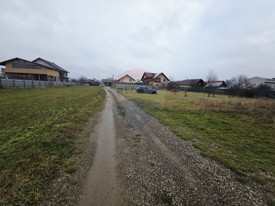 Teren 519mp Dumbrava Rosie / Strada CRANGULUI