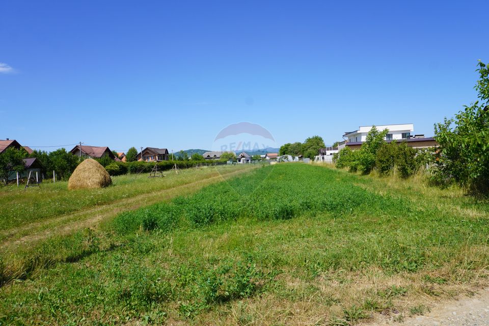 Teren 1,687mp Sighetu Marmatiei / Strada Doboies