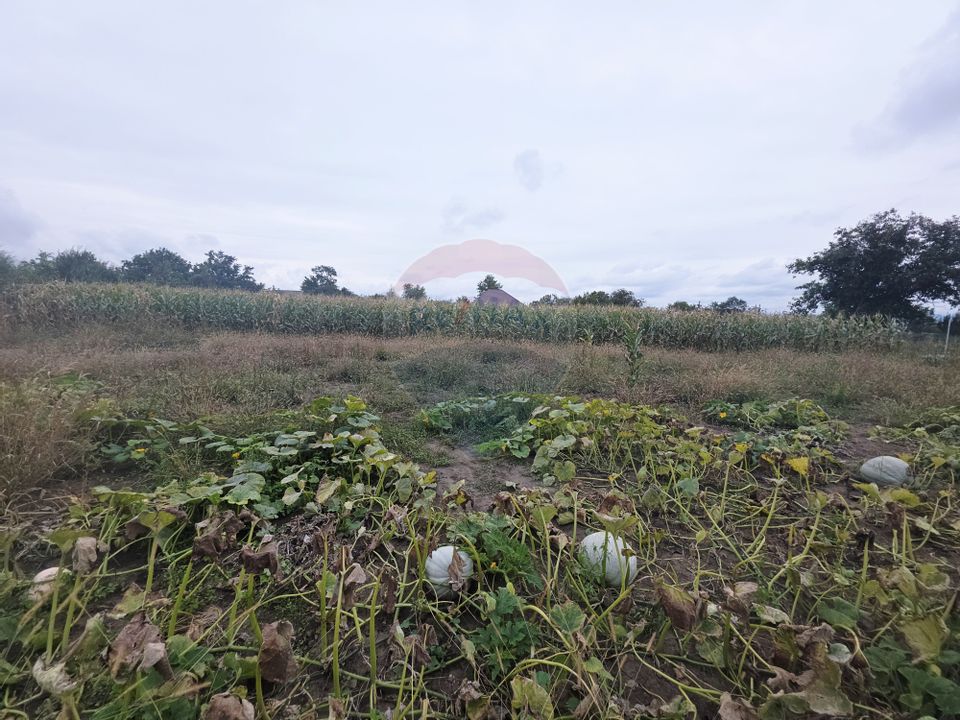 4 room House / Villa for sale