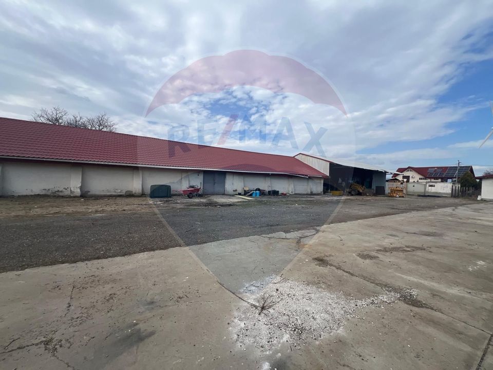 Land 4,335sqm Golesti / Aleea CAP