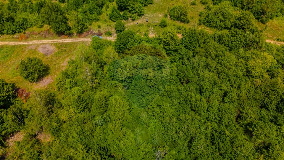 COMISION 0% Teren Grid/Inima Naturii/ Oportunitate de investiție