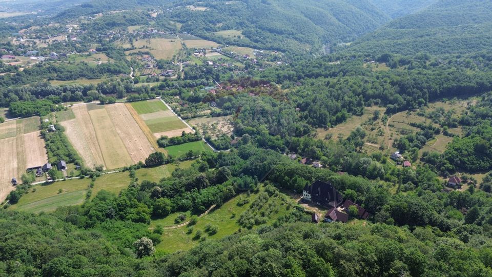 DE VANZARE CASTEL IN MARAMURES