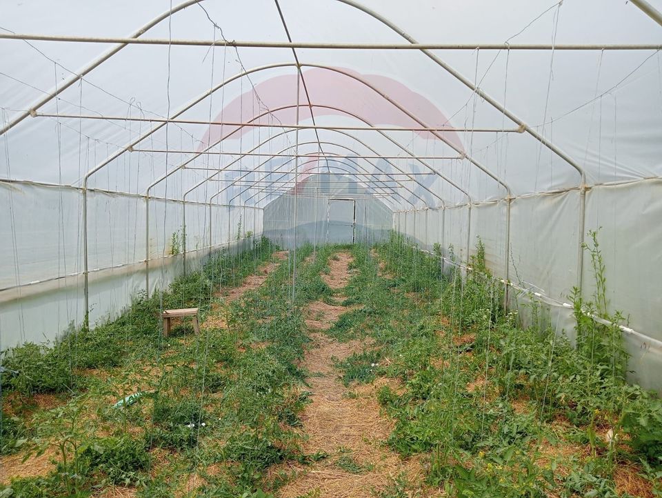 Vanzare casa  4 camere-microferma, cu panouri fotovoltaice