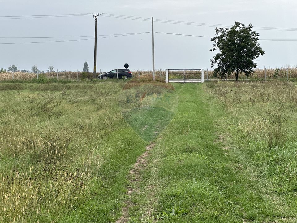 Teren in Magura/Bacau - de vanzare