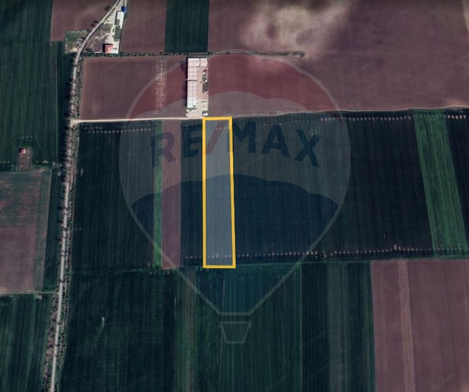 Land 38,800sqm Afumati / Drumul Padurea Afumati