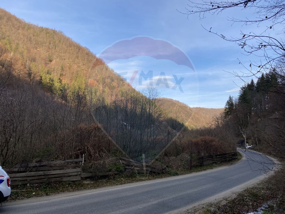 Land 1,000sqm Valea Ierii / Drumul Principala