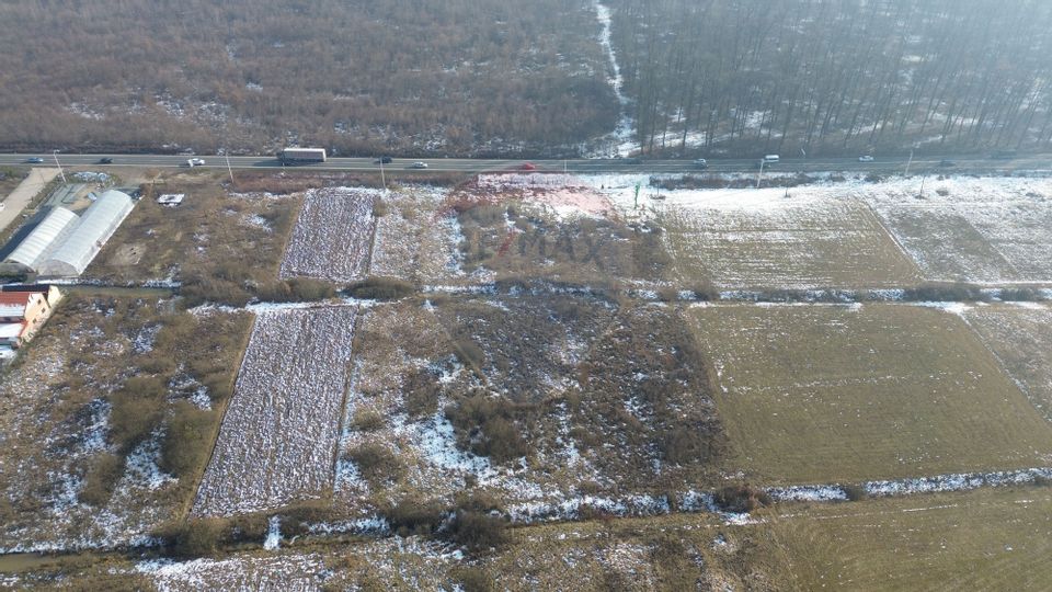 Teren de vânzare industrial Lapusel