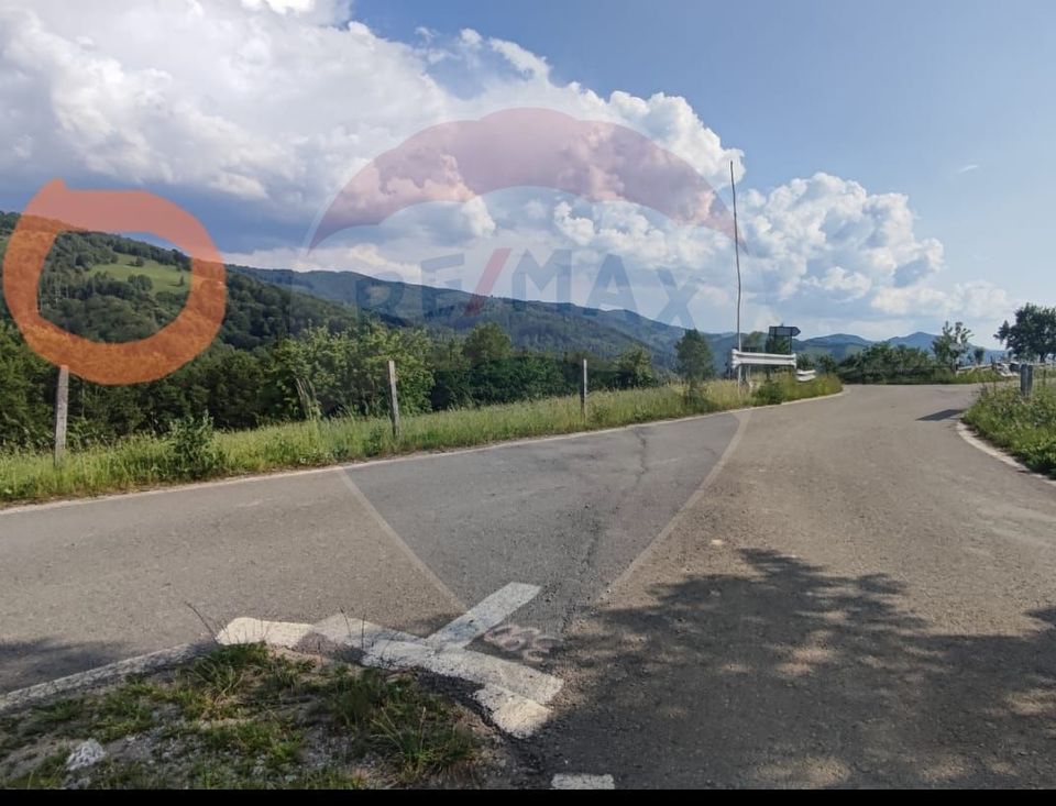 Teren 130000 mp extravilan, faneata si padure, Munteni - Bulz, Negreni