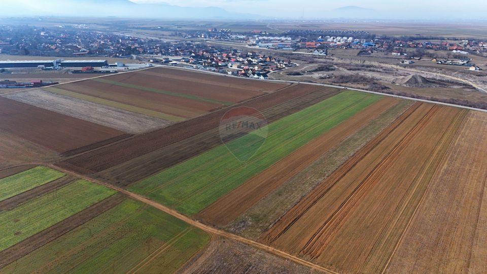 Teren extravilan | 14,600mp | Tărlungeni