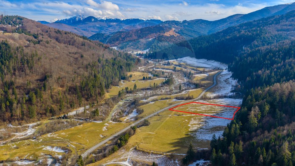 Land 10,000sqm Sacele / Strada Barajului