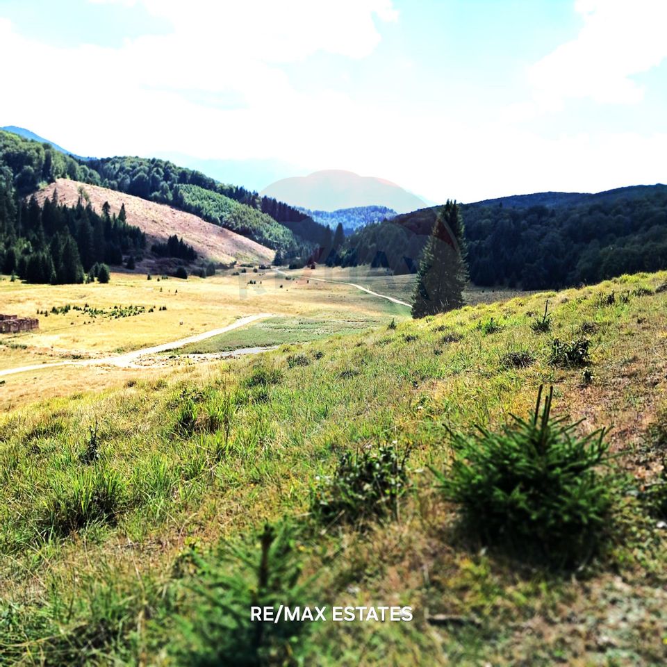 Land 4,698sqm Poiana Brasov / Strada Pastorului