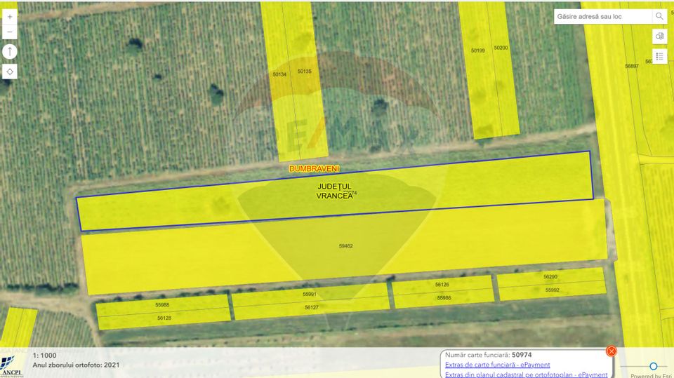 Land 6,632sqm Dumbraveni / DN e85