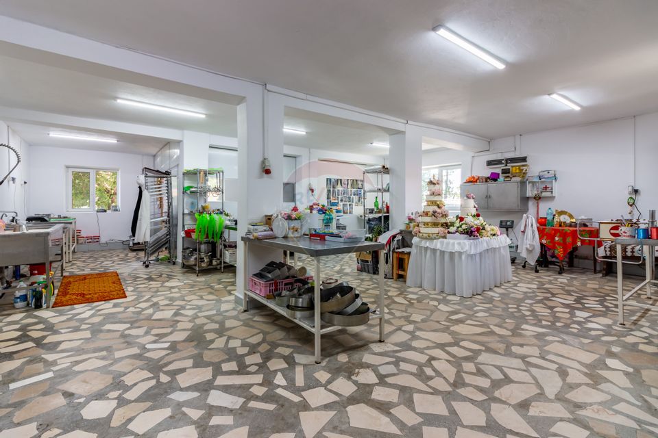 Casa+Laborator+ Teren 12.700 mp + casa de vacanta - Bolintin Vale