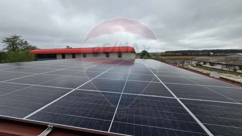 DE VÂNZARE Hala productie/depozitare