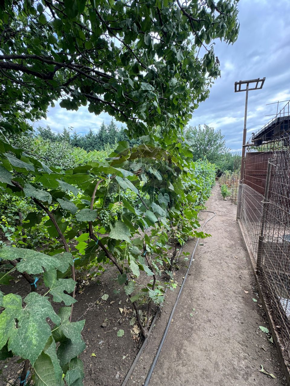 Casă / Vilă cu 6 camere de vânzare în zona Ultracentral