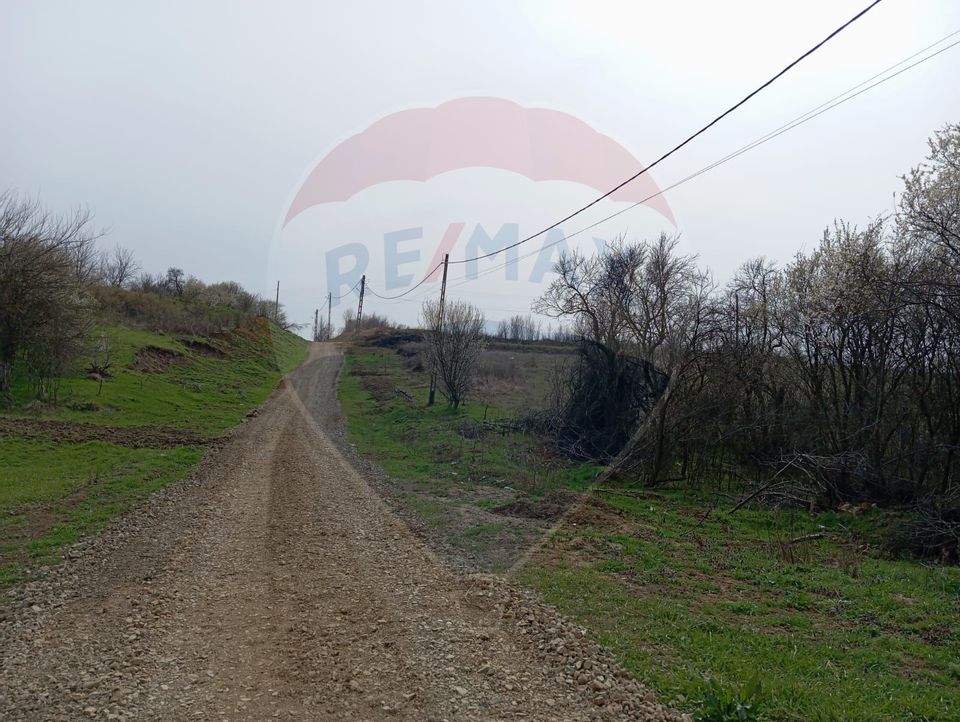 Conac Brancovenesc cu Panorama Deosebita la 12 km de Craiova