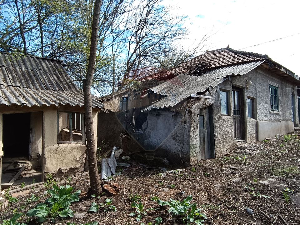 Teren  intravilan 867mp Moara Vlasiei / Soseaua Eroilor