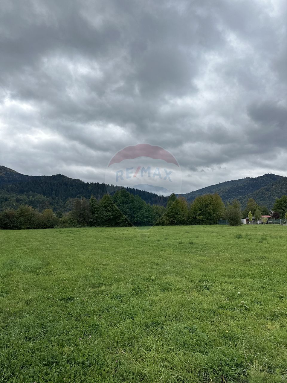 Teren 1,023mp Vadurele (Alexandru cel Bun) / Strada Stejarilor