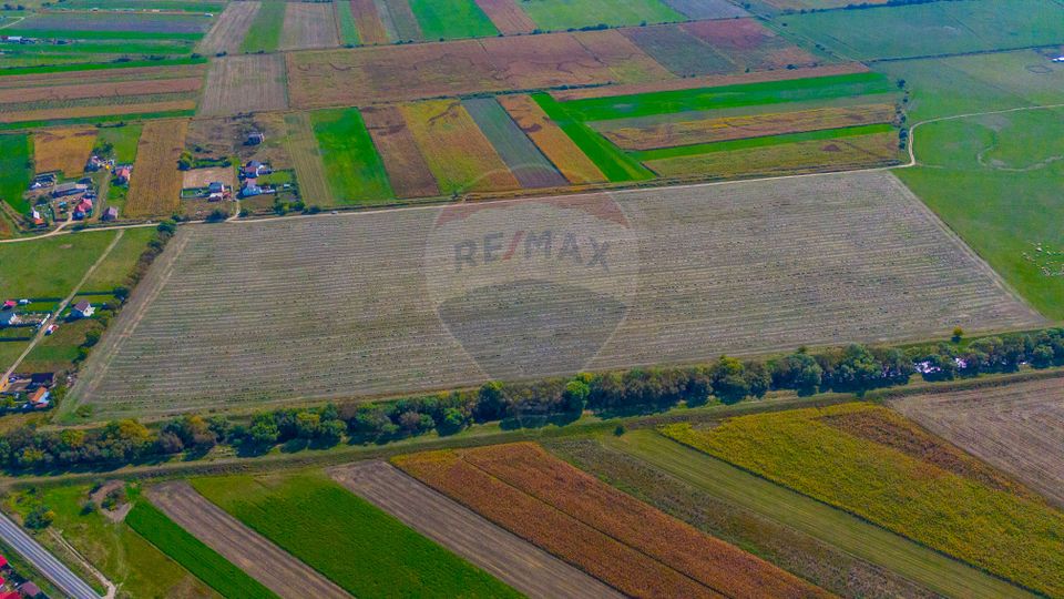 Teren 10,000mp Bod/Extravilan