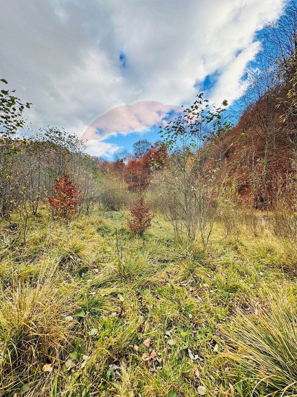 Teren 4,877mp Mara / Strada Principala