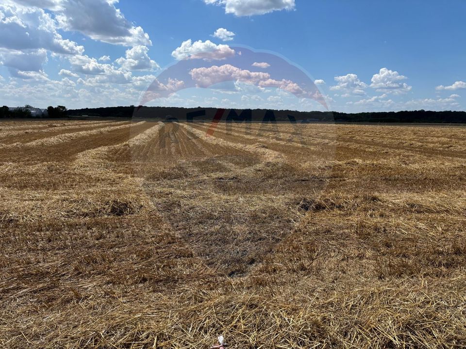 Land 1,858sqm Izvorani / Aleea Tarla 58