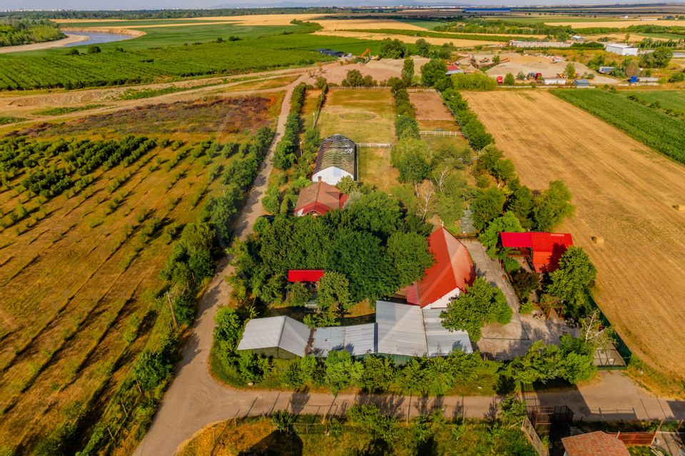 Land 4,000sqm Zadareni / Drumul Drumul principal