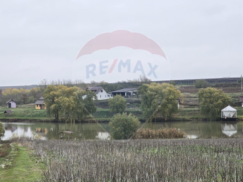 Land 129,700sqm Iepuresti / Strada Marin Preda