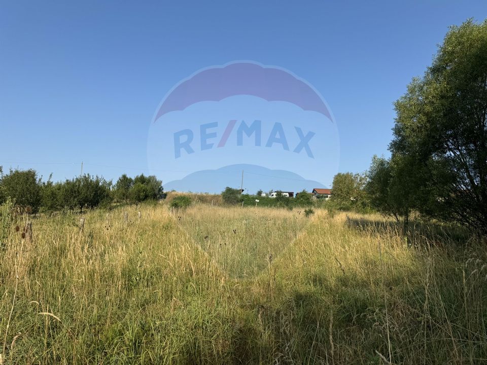 Land 1,500sqm Salicea / Strada Pricipala