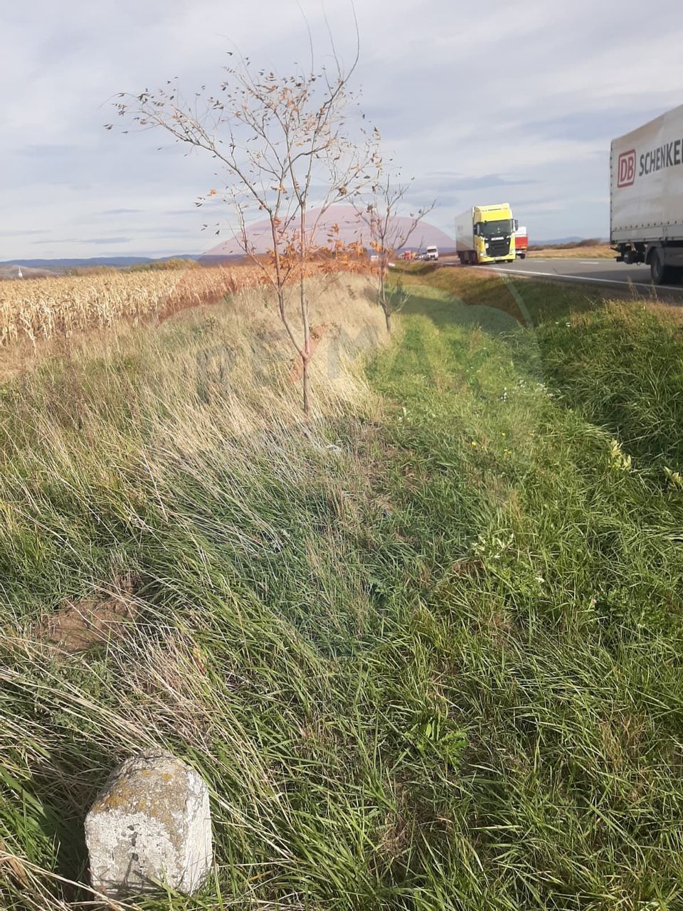 De vânzare teren intravilan, în Săbolciu,  cu deschidere la E 60