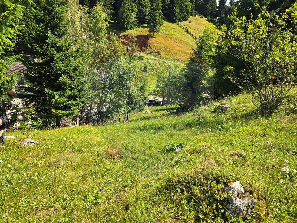 Teren de vis în Fundata 1934mp sau 3868mp, la înălțimea sufletului tău