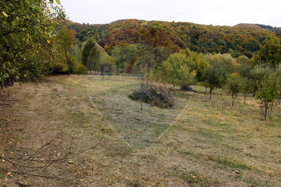 Casa + Teren cu Livada Curtea de Argeș