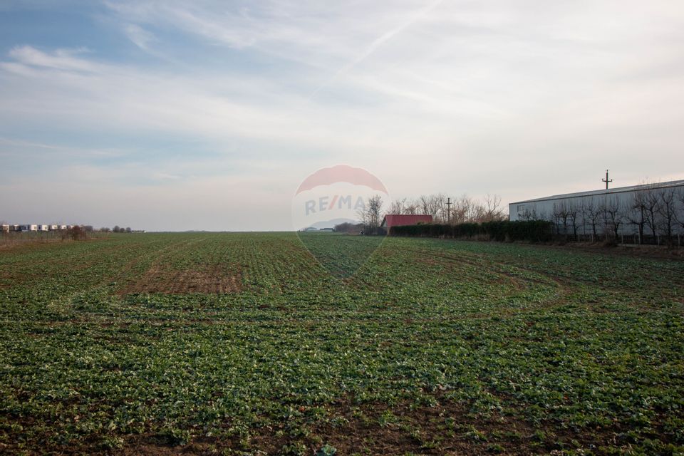 Land 21,000sqm Balotesti / Strada Stadionului