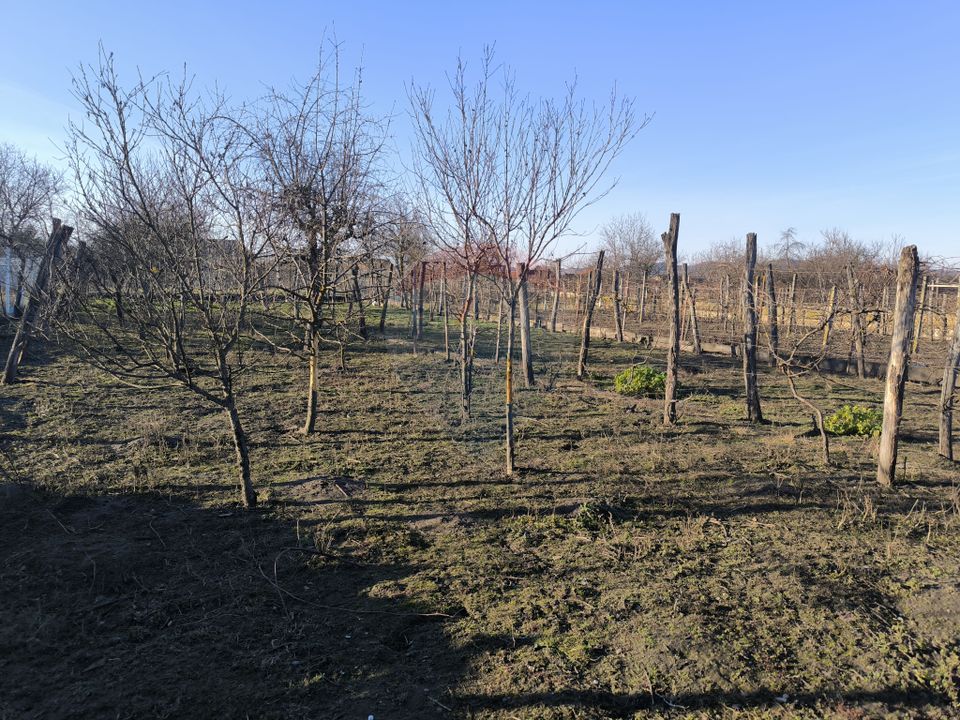 Casă săsească 3 camere si 1400 mp teren in Brateiu - jud. Sibiu