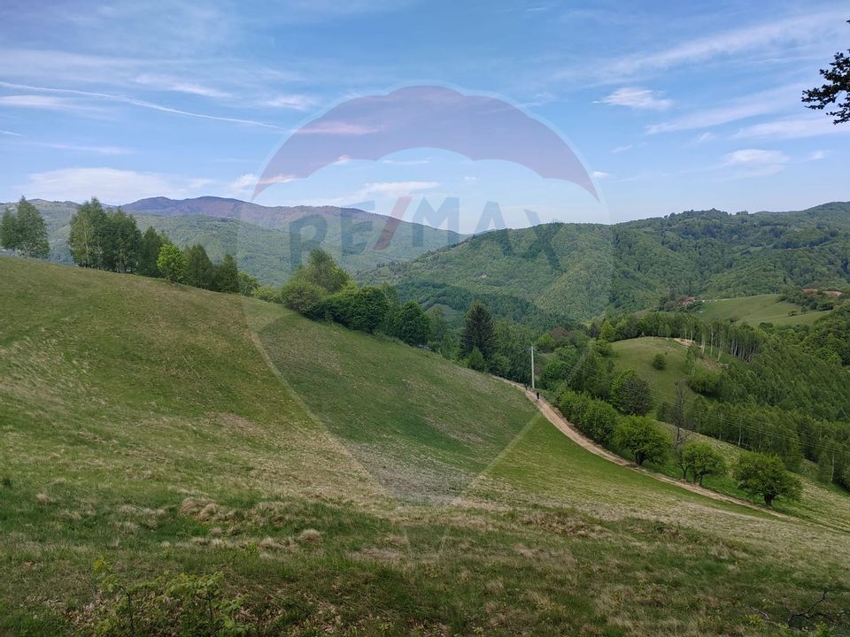 Land 20,131sqm Poiana Marului / Strada Fara nume